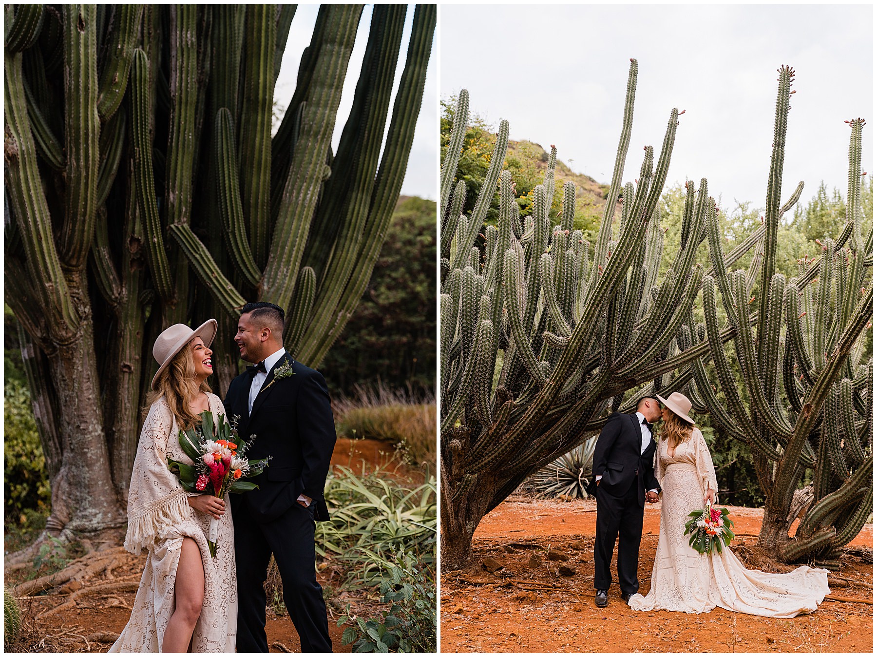 saguaro cactus arizona desert wedding