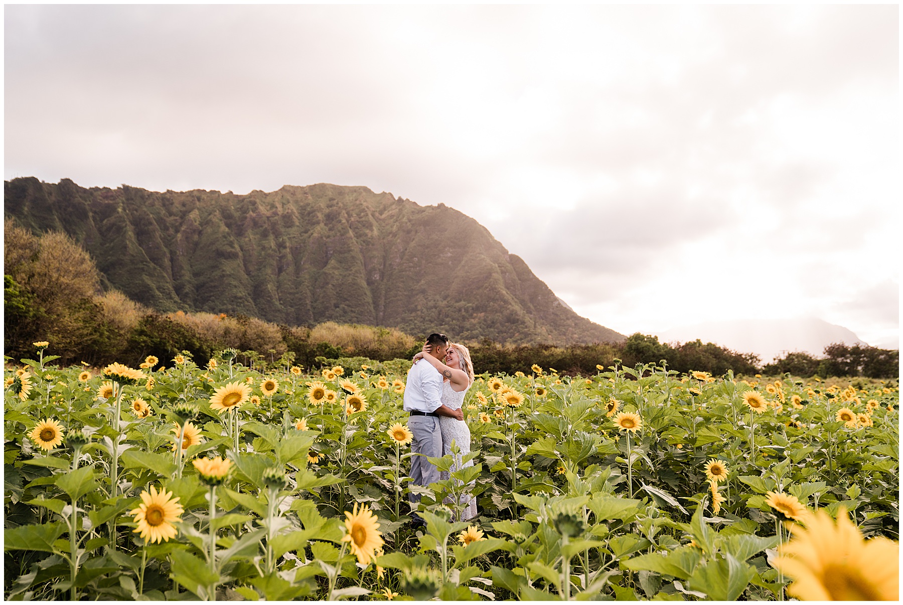 couple taking wedding photos in sunflower field