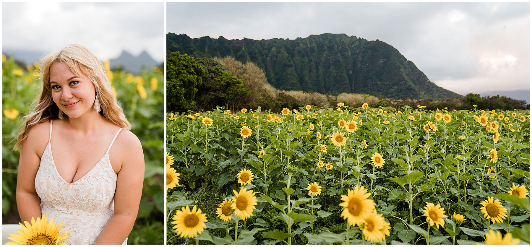 sunflower field wedding in Hawaii