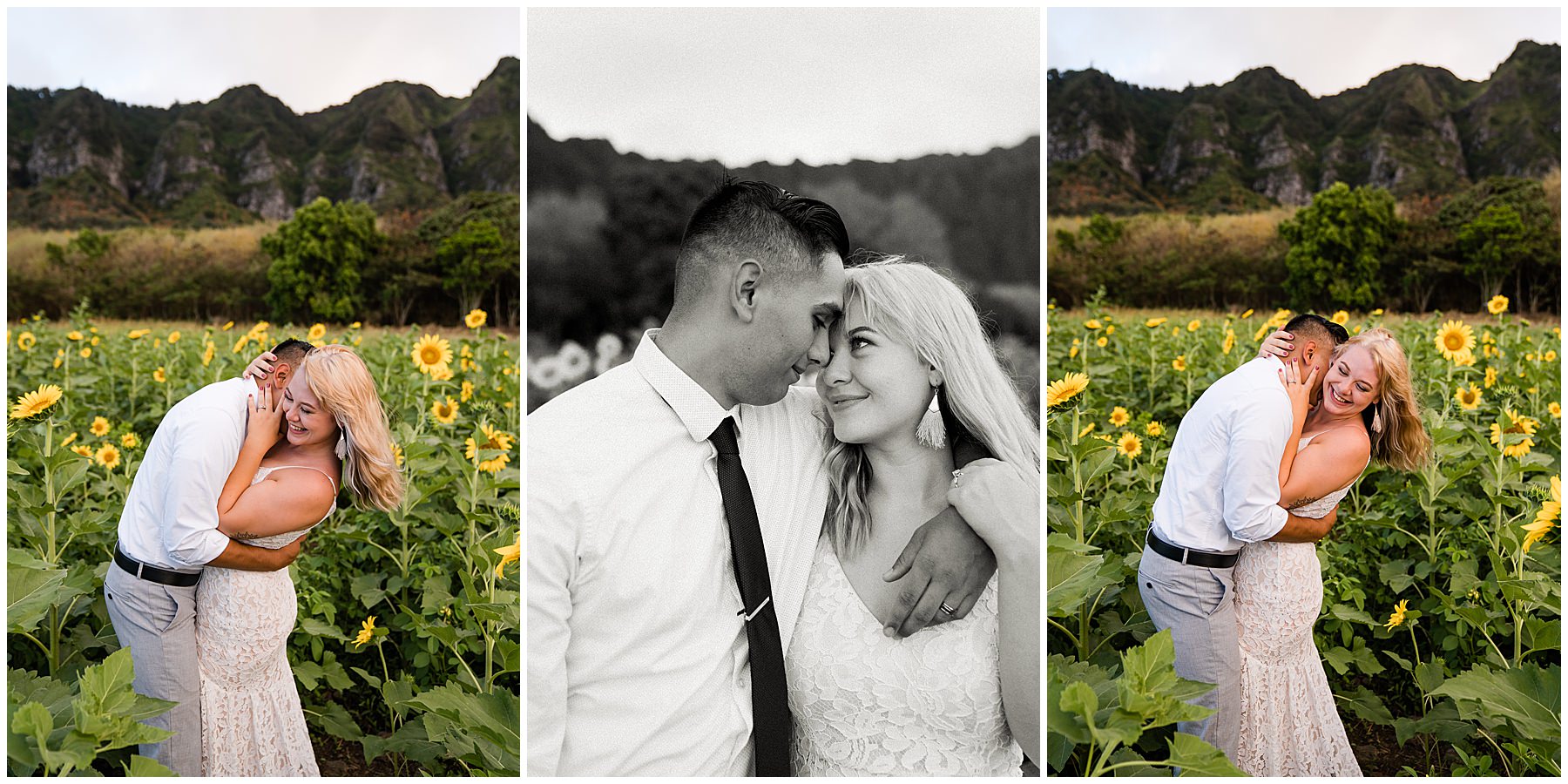 Hawaii elopement in sunflower field