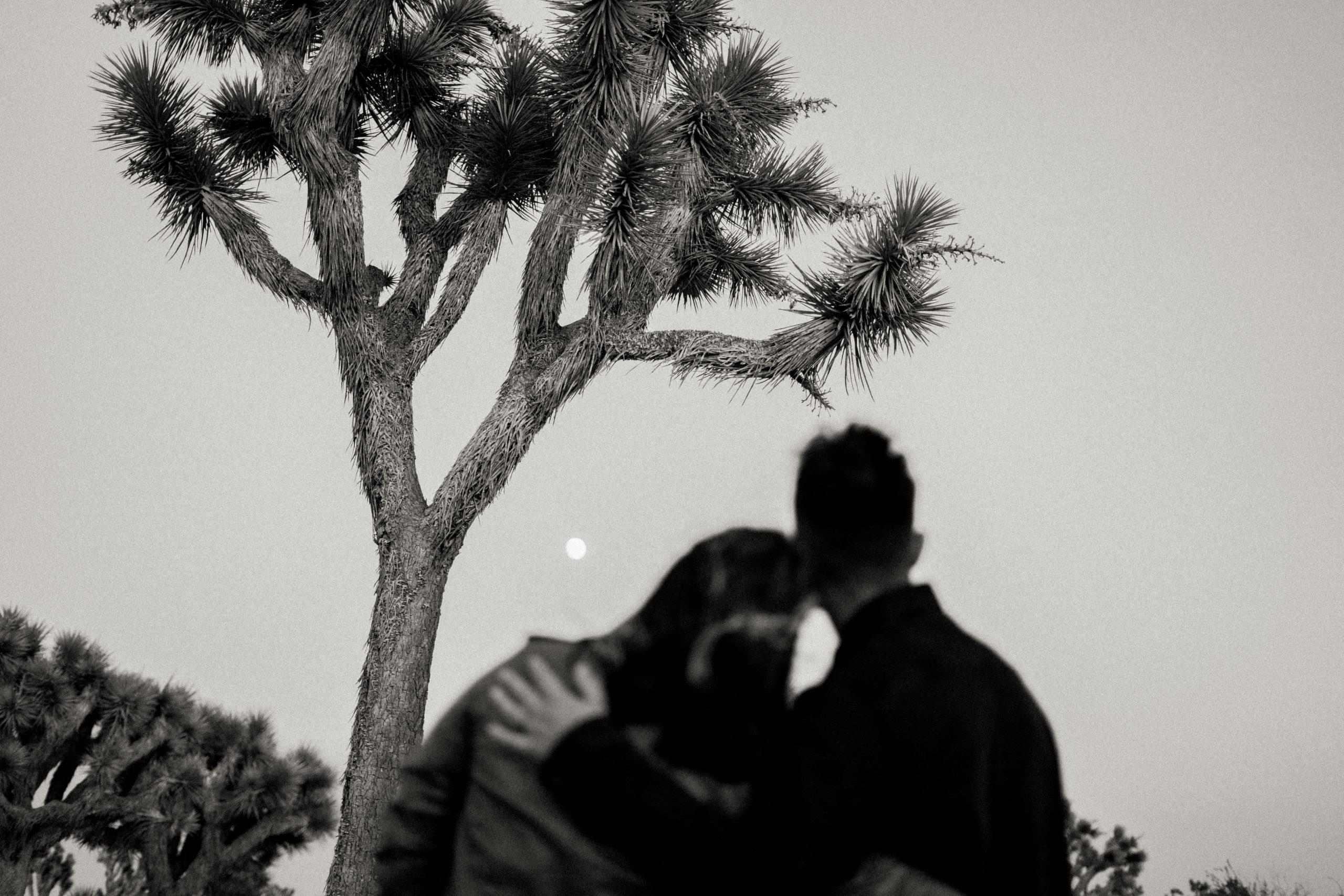 Couples photoshoot in Joshua Tree