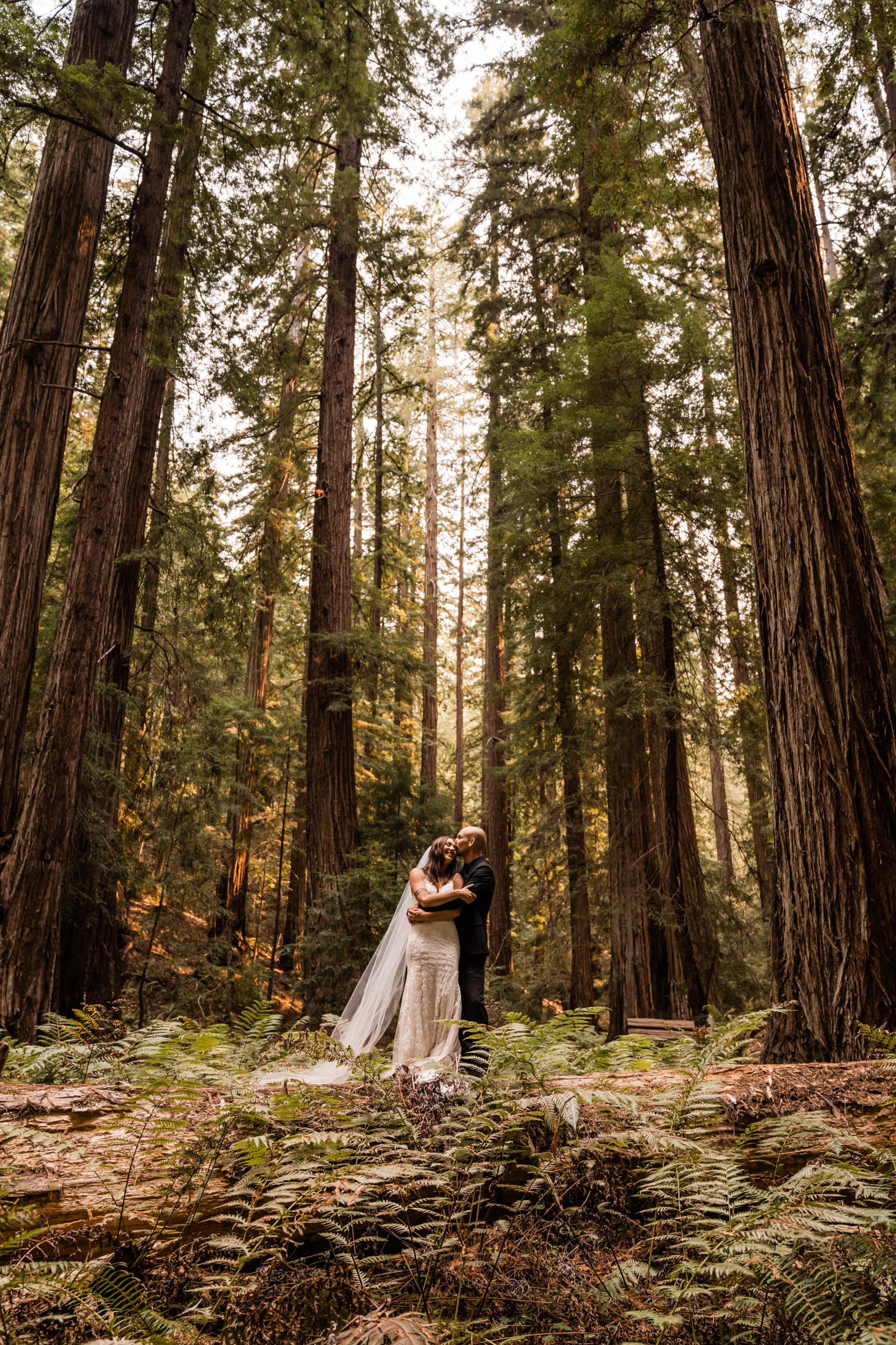 Redwood Forest elopement