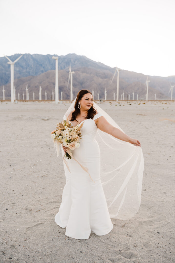 Portrait of bride at Palm Springs windmills